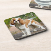 Blenheim Cavalier King Charles Spaniel Puppy Dog Bier Onderzetter (Linkerzijde)