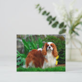 Blenheim Cavalier King Charles Spaniel Puppy Dog Briefkaart (Staand voorkant)