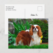 Blenheim Cavalier King Charles Spaniel Puppy Dog Briefkaart (Voorkant / Achterkant)