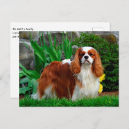Blenheim Cavalier King Charles Spaniel Puppy Dog Briefkaart