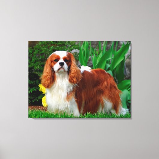 Blenheim Cavalier King Charles Spaniel Puppy Dog Canvas Afdruk (Voorkant)