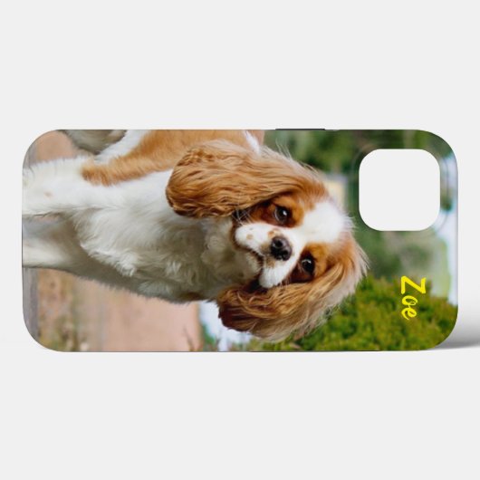 Blenheim Cavalier King Charles Spaniel Puppy Dog Case-Mate iPhone Case (Achterkant (horizontaal))