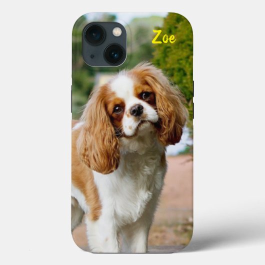 Blenheim Cavalier King Charles Spaniel Puppy Dog Case-Mate iPhone Case (Achterkant)