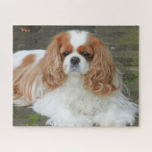 Blenheim Cavalier King Charles Spaniel Puppy Dog J Legpuzzel (Horizontaal)