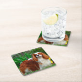 Blenheim Cavalier King Charles Spaniel Puppy Dog Kartonnen Onderzetters (Insitu)