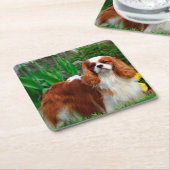 Blenheim Cavalier King Charles Spaniel Puppy Dog Kartonnen Onderzetters (Schuin)