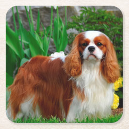 Blenheim Cavalier King Charles Spaniel Puppy Dog Kartonnen Onderzetters