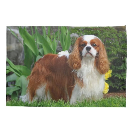 Blenheim Cavalier King Charles Spaniel Puppy Dog Kussensloop (Achterkant)
