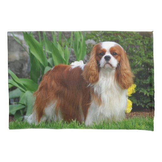 Blenheim Cavalier King Charles Spaniel Puppy Dog Kussensloop (Voorkant)