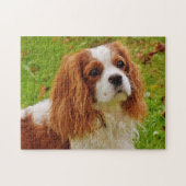 Blenheim Cavalier King Charles Spaniel Puppy Dog Legpuzzel (Horizontaal)