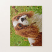 Blenheim Cavalier King Charles Spaniel Puppy Dog Legpuzzel (Verticaal)