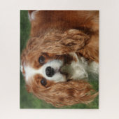 Blenheim Cavalier King Charles Spaniel Puppy Dog Legpuzzel (Verticaal)