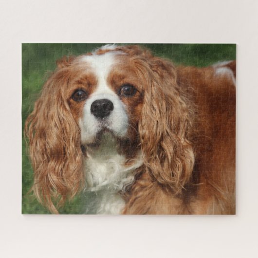 Blenheim Cavalier King Charles Spaniel Puppy Dog Legpuzzel (Horizontaal)
