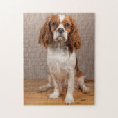 Blenheim Cavalier King Charles Spaniel Puppy Dog Legpuzzel (Verticaal)