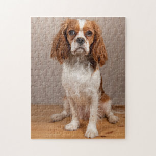 Blenheim Cavalier King Charles Spaniel Puppy Dog Legpuzzel