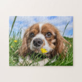 Blenheim Cavalier King Charles Spaniel Puppy Dog Legpuzzel (Horizontaal)