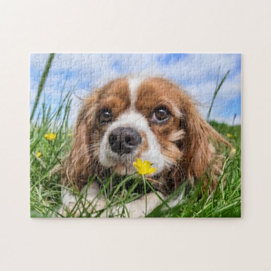 Blenheim Cavalier King Charles Spaniel Puppy Dog Legpuzzel (Horizontaal)