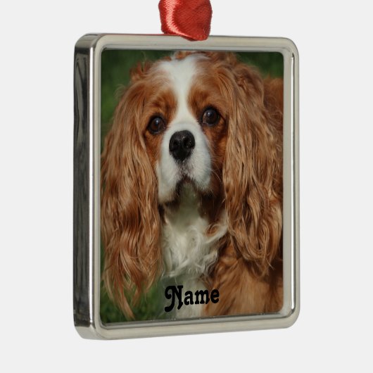 Blenheim Cavalier King Charles Spaniel Puppy Dog Metalen Ornament (Rechts)