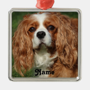Blenheim Cavalier King Charles Spaniel Puppy Dog Metalen Ornament