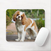 Blenheim Cavalier King Charles Spaniel Puppy Dog Muismat (Met muis)