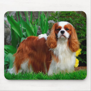 Blenheim Cavalier King Charles Spaniel Puppy Dog Muismat