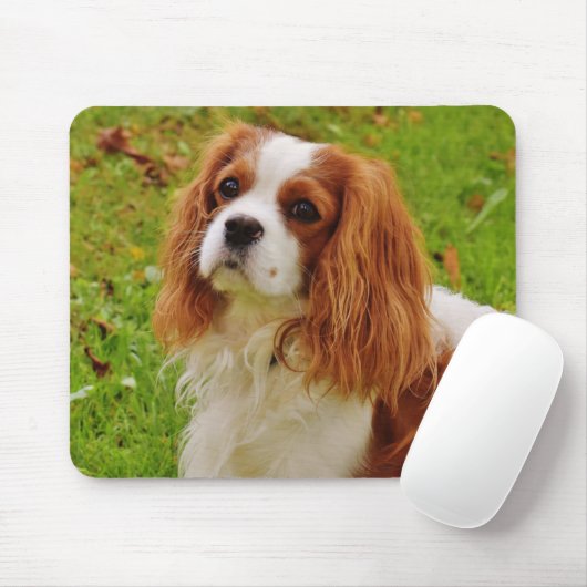 Blenheim Cavalier King Charles Spaniel Puppy Dog Muismat (Met muis)