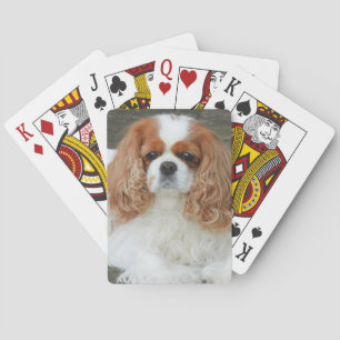 Blenheim Cavalier King Charles Spaniel Puppy Dog Pokerkaarten