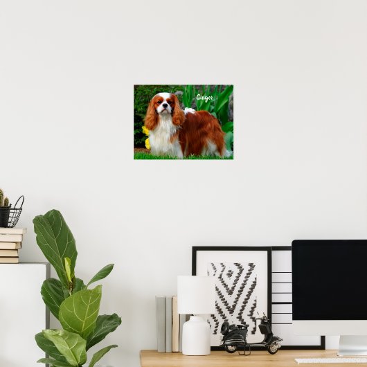 Blenheim Cavalier King Charles Spaniel Puppy Dog Poster (Thuiskantoor)