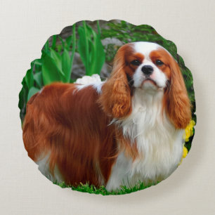 Blenheim Cavalier King Charles Spaniel Puppy Dog Rond Kussen
