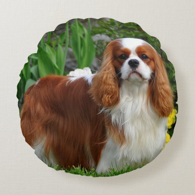 Blenheim Cavalier King Charles Spaniel Puppy Dog Rond Kussen (Voorkant)