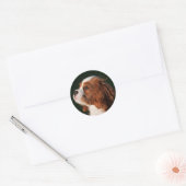 Blenheim Cavalier King Charles Spaniel Puppy Dog Ronde Sticker (Envelop)