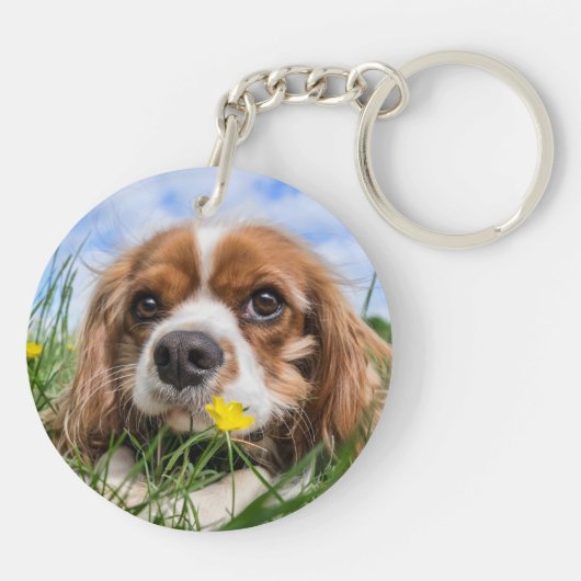 Blenheim Cavalier King Charles Spaniel Puppy Dog Sleutelhanger (Achterkant)