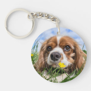 Blenheim Cavalier King Charles Spaniel Puppy Dog Sleutelhanger