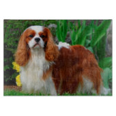 Blenheim Cavalier King Charles Spaniel Puppy Dog Snijplank (Voorkant)
