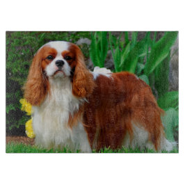 Blenheim Cavalier King Charles Spaniel Puppy Dog Snijplank
