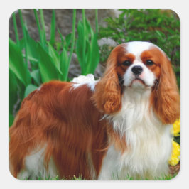 Blenheim Cavalier King Charles Spaniel Puppy Dog Vierkante Sticker