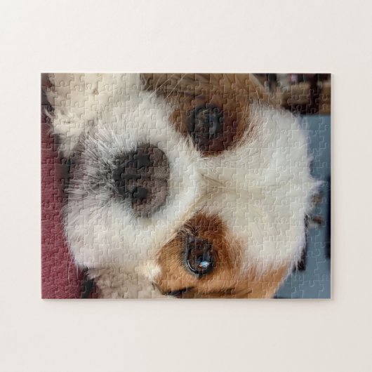 Blenheim Cavalier King Charles Spaniel Puzzle Legpuzzel (Horizontaal)