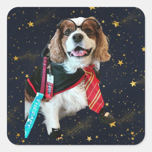 Blenheim Cavalier King Charles Wizard Square Stick Vierkante Sticker (Voorkant)