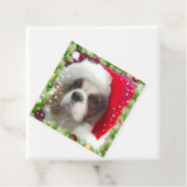 Blenheim Cavalier Spaniel Geschenk Label (In situ)