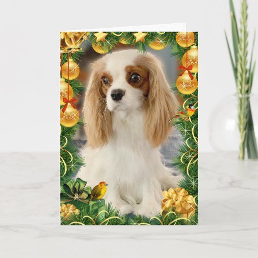 Blenheim Cavalier Spaniel Holiday Card Kaart (Voorkant)