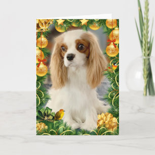 Blenheim Cavalier Spaniel Holiday Card Kaart