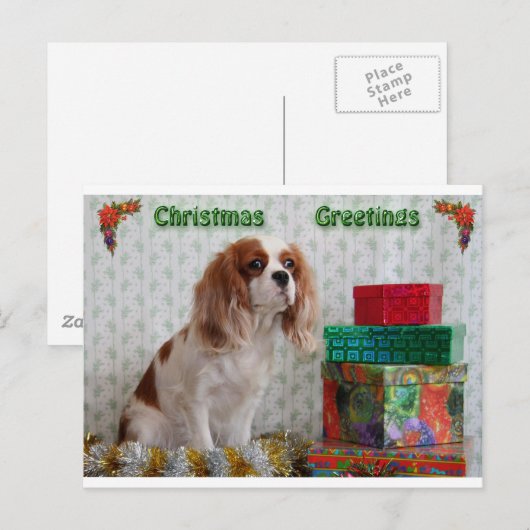 Blenheim Christmas Cavalier Feestdagenkaart (Voorkant / Achterkant)