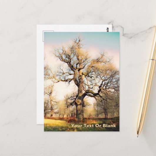 Blenheim Palace English Oak Briefkaart (Voorkant / Achterkant in situ)