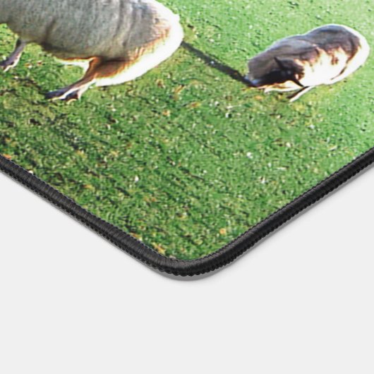 Blenheim Palace Schaap Bureaumat (Hoek)