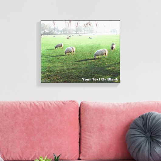 Blenheim Palace Schaap Canvas Afdruk (Insitu (Woonkamer))