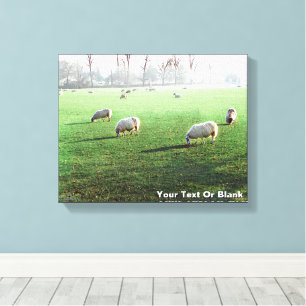 Blenheim Palace Schaap Canvas Afdruk