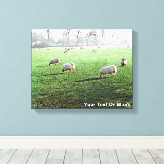 Blenheim Palace Schaap Canvas Afdruk (Insitu (Houten vloer))
