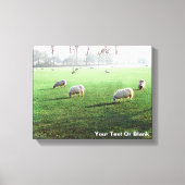 Blenheim Palace Schaap Canvas Afdruk (Voorkant)