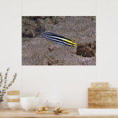 Blenny Poster (Keuken)