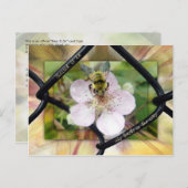 Blessed is hij die op de LORD vertrouwt Briefkaart (Voorkant / Achterkant)